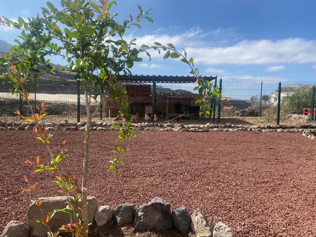 Mini Casa Finca Arcoiris Tenerife ギア・デ・イソラ エクステリア 写真