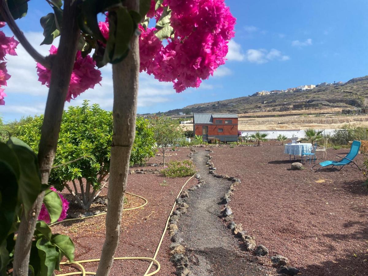 Mini Casa Finca Arcoiris Tenerife ギア・デ・イソラ エクステリア 写真