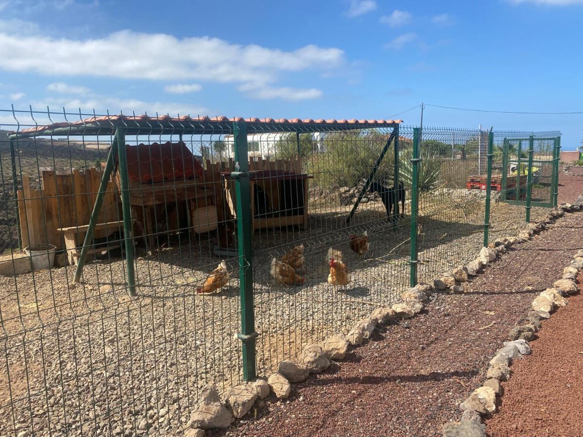 Mini Casa Finca Arcoiris Tenerife ギア・デ・イソラ エクステリア 写真