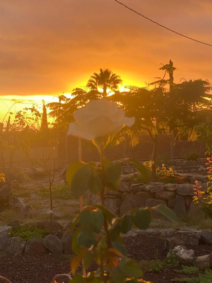 Mini Casa Finca Arcoiris Tenerife ギア・デ・イソラ エクステリア 写真