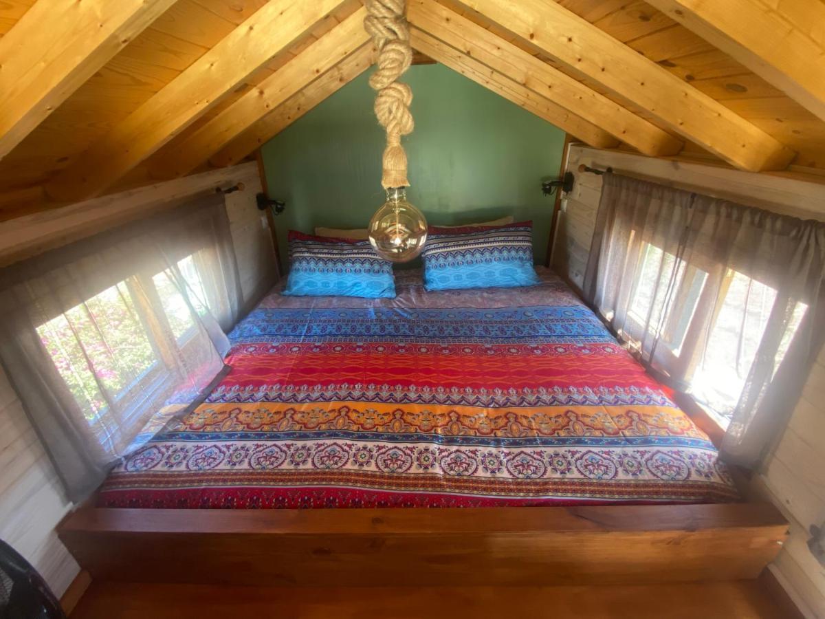 Mini Casa Finca Arcoiris Tenerife ギア・デ・イソラ エクステリア 写真